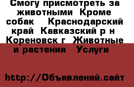 Смогу присмотреть за животными. Кроме собак. - Краснодарский край, Кавказский р-н, Кореновск г. Животные и растения » Услуги   